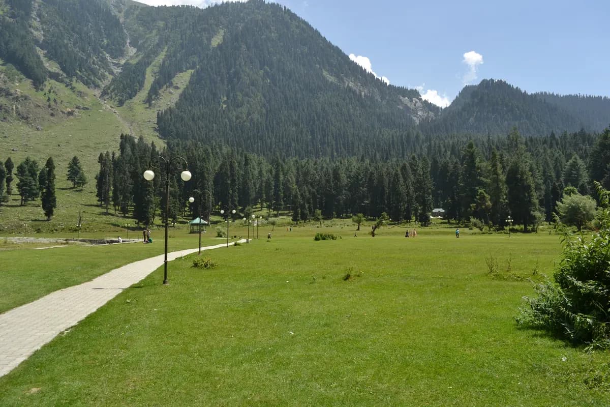 Lush green alpine meadows and pine forests of Betaab Valley in Pahalgam, Kashmir